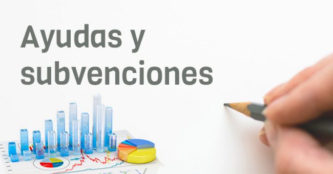 ayudas-subvenciones-768×403-1